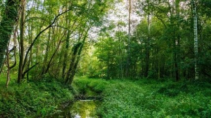 Wandeling te Haacht
